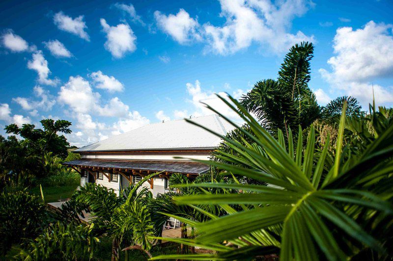 Hotel French Coco La Trinité Exteriér fotografie